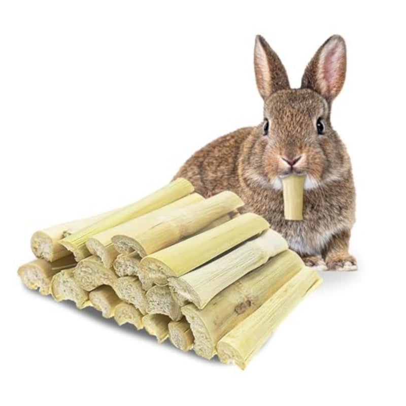 SunGrow Sweet Bamboo Chew Sticks for Rabbits, 100g (3.5 oz) Bunny Molar Chew Sticks for Guinea Pigs, Chinchillas, Gerbils, Hamsters and Small Animals - Image 2